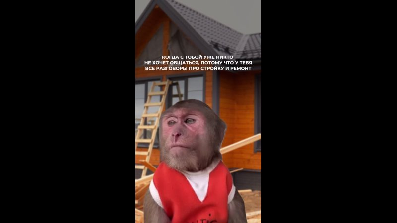 Публикация Wood Brus во ВКонтакте